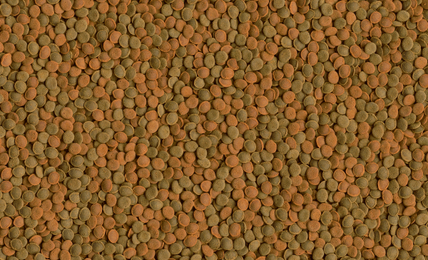 Tetra Wafers Mix 15гр - Image 2