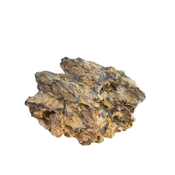 Драконов камък 1