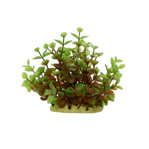 Изкуствено растение Ludwigia red-green, 15 см