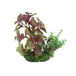 Изкуствено растение Coleus mix, 15 см